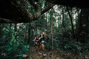 BIB: 
                            <button type="button" onclick="openModal(25391122)" class="btn btn-primary btn-sm float-right btn-popup" data-toggle="modal" data-target=".modal-high-quality">
                        <i class="fas fa-shopping-cart"></i> Add to Cart
                    </button>
                                            <button type="button" onclick="isThisMe(25391122, true)" class="btn btn-success btn-sm float-right btn-popup btn-isme hidden" data-toggle="tooltip" data-placement="bottom" title="นี่คือรูปของคุณใช่ไหม คลิกที่นี่เพื่อเอาเข้าอัลบั้ม">
                        <i class="fas fa-plus"></i> Add to album
                    </button>
                    <button type="button" onclick="isThisMe(25391122, false)" class="btn btn-warning btn-sm float-right btn-popup btn-isnotme hidden">
                        <i class="fas fa-ban"></i> Remove from album
                    </button>